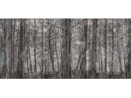 Gallery of variants LITTLE RED RIDING HOOD_2 Gallery of variants LITTLE RED RIDING HOOD_2