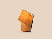 Gallery of variants TINY_1