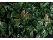 PHOTINIA by VGnewtrend - Quadro vegetale - 3