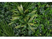 RIO by VGnewtrend - Quadro vegetale - 3