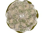 STYL’EDITIONS | Ecological wallpapers