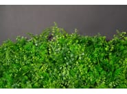 TUNDRA by VGnewtrend - Quadro vegetale - 3