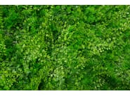 TUNDRA by VGnewtrend - Quadro vegetale - 4