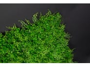 TUNDRA by VGnewtrend - Quadro vegetale - 2