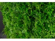 TUNDRA by VGnewtrend - Quadro vegetale - 5