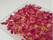 VIAPLANT | Sustainable panels and surfaces with plant fibers
