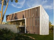 Woodn Greenwood | Wood wall tiles, wood indoor/outdoor flooring