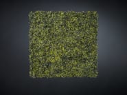 BOSSO by VGnewtrend - Quadro vegetale