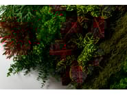 CADDO by VGnewtrend - Quadro vegetale - 4