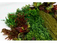 CADDO by VGnewtrend - Quadro vegetale - 8