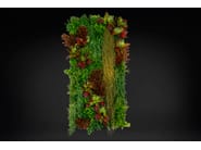 CADDO by VGnewtrend - Quadro vegetale - 2