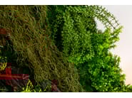 CADDO by VGnewtrend - Quadro vegetale - 3