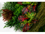 CADDO by VGnewtrend - Quadro vegetale - 5