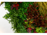 CADDO by VGnewtrend - Quadro vegetale - 7