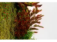 CADDO by VGnewtrend - Quadro vegetale - 9