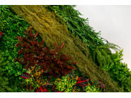 CADDO by VGnewtrend - Quadro vegetale - 11