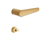 Variante prodotto (61)