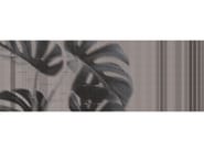 JARDIN D’HIVER MONSTERE by Texturae - Carta da parati lavabile panoramica - 3