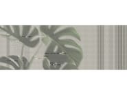 JARDIN D’HIVER MONSTERE by Texturae - Carta da parati lavabile panoramica - 4