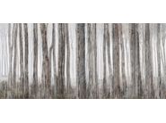 Gallery of variants LITTLE RED RIDING HOOD_1 Gallery of variants LITTLE RED RIDING HOOD_1