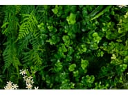 MELEDA by VGnewtrend - Quadro vegetale - 4