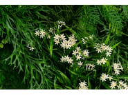 MELEDA by VGnewtrend - Quadro vegetale - 3