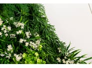 MELEDA by VGnewtrend - Quadro vegetale - 8