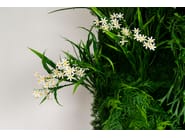 MELEDA by VGnewtrend - Quadro vegetale - 5