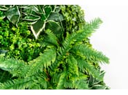 MOLOKAI by VGnewtrend - Quadro vegetale - 10