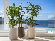 Pot à Porter | Handmade vases