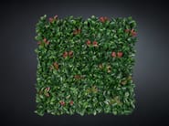 PHOTINIA by VGnewtrend - Quadro vegetale