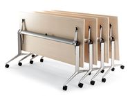 Gallery of variants TRAMA_1