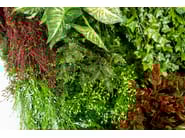 RATA by VGnewtrend - Quadro vegetale - 10