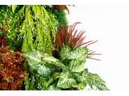 RATA by VGnewtrend - Quadro vegetale - 5