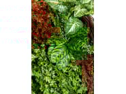 RATA by VGnewtrend - Quadro vegetale - 8