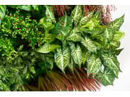 RATA by VGnewtrend - Quadro vegetale - 9