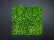 TUNDRA by VGnewtrend - Quadro vegetale