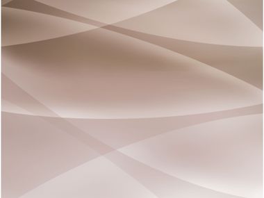 Laminato decorativo LEAF BIRCH 5802 Abet Laminati