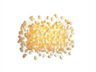 Lampada da parete fatta a mano con bozzoli di seta CHRYSALIS WALL Ango