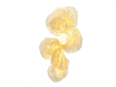 Lampada da parete in fibra di corteccia di gelso FOLDED Ango