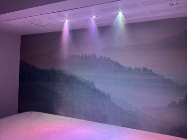 Overhead shower SPASTREAM Aquademy