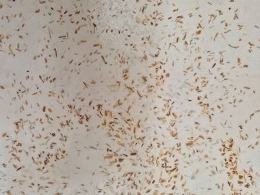 Arte Viva: Ecologic resin surfaces