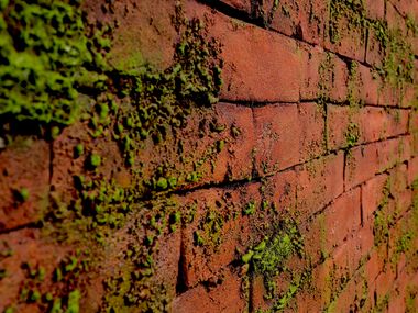 Glass-fibre 3D Wall Cladding with brick effect MASONRY MOSS Artstone Panel Systems