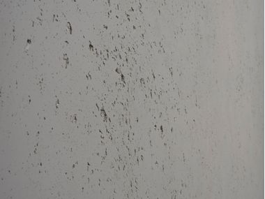 3D Wall Cladding with stone effect PHLOX+ Artstone Panel Systems