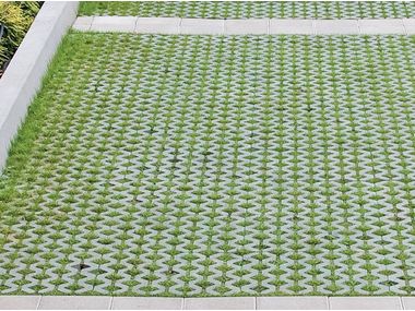Grass meshes