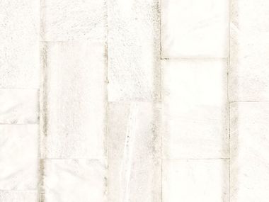 Nonwoven wallpaper BELGRAVIA PLAIN Jannelli&Volpi
