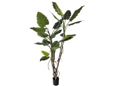 Artificial plant ALOCASIA H200 Bizzotto