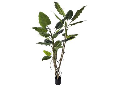 Artificial plant ALOCASIA H150 Bizzotto