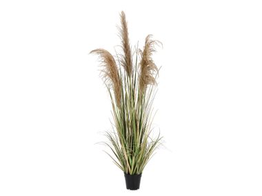 Artificial plant AUSTORDERIA PAMPAS H145 Bizzotto