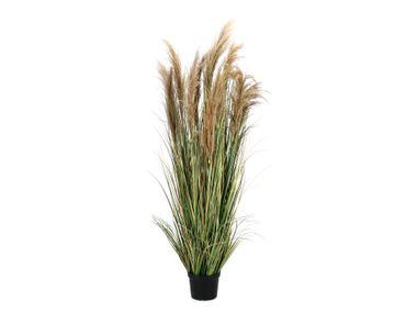 Artificial plant AUSTORDERIA PAMPAS H180 Bizzotto